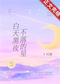 白天黑夜不落